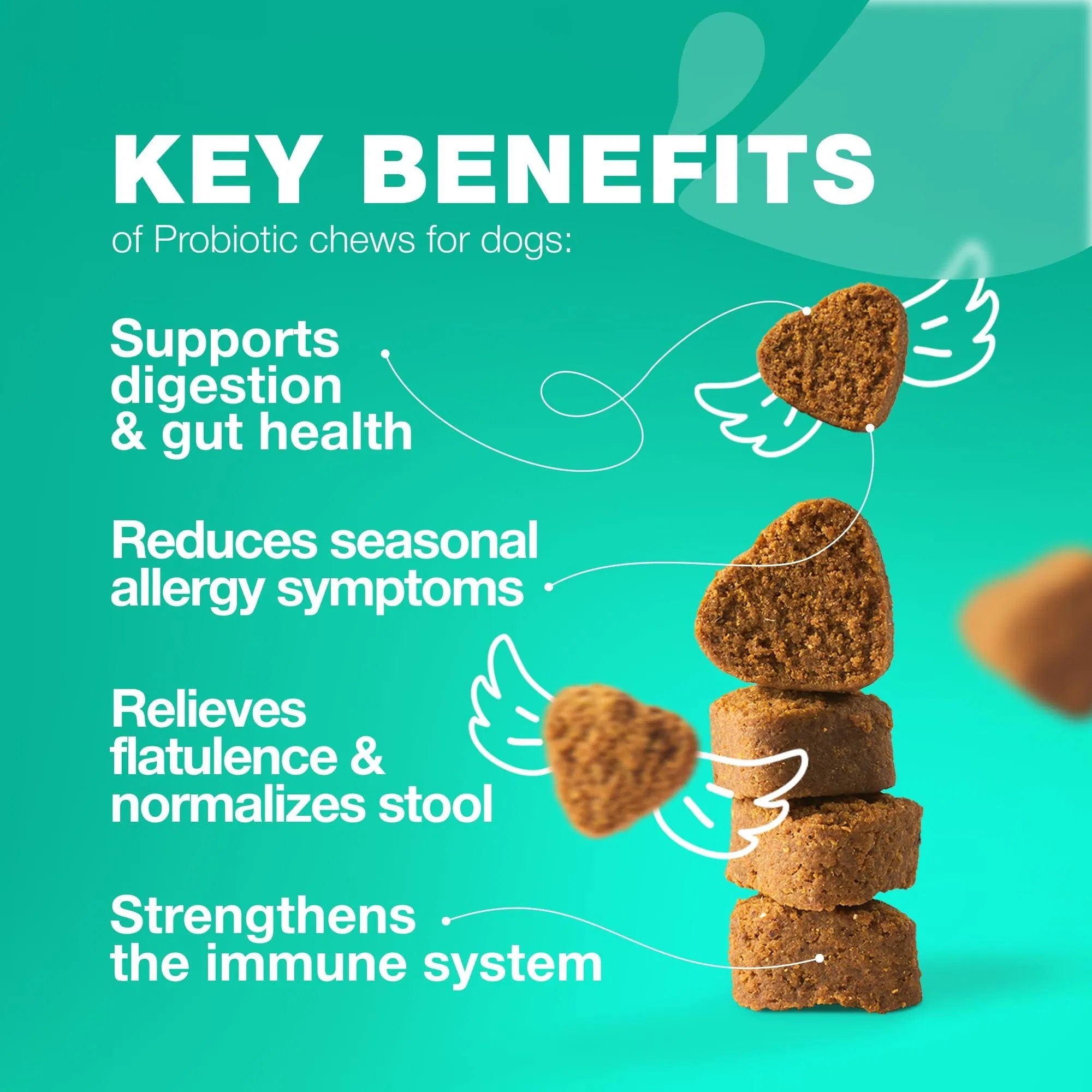 Probiotics For Dogs Support Gut Health Immunity