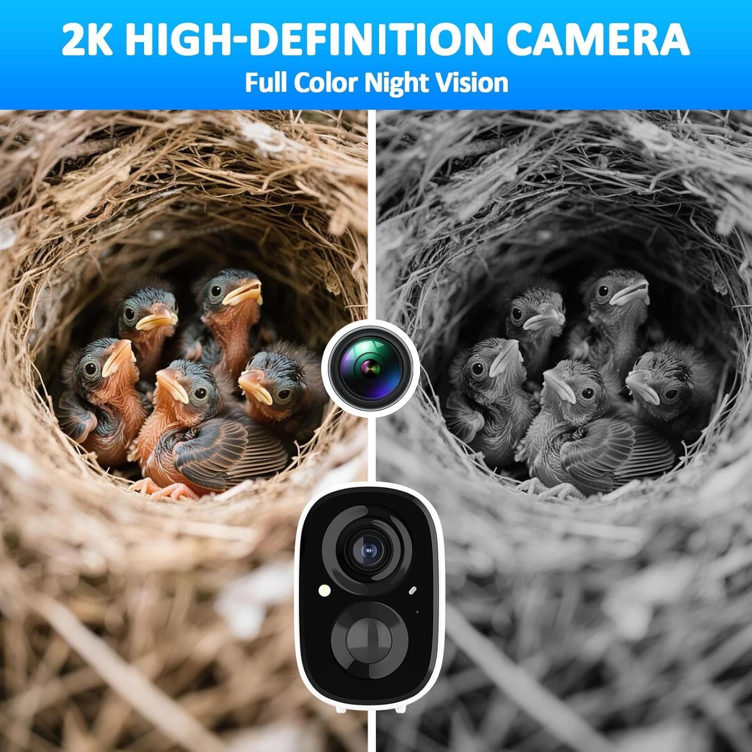 AI-Powered Birdhouse Camera Solar-Charged, 4MP HD, Live Nesting & Hatching View