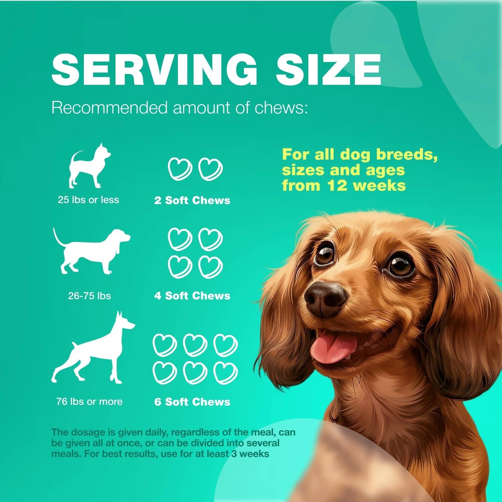 Probiotics For Dogs Support Gut Health Immunity