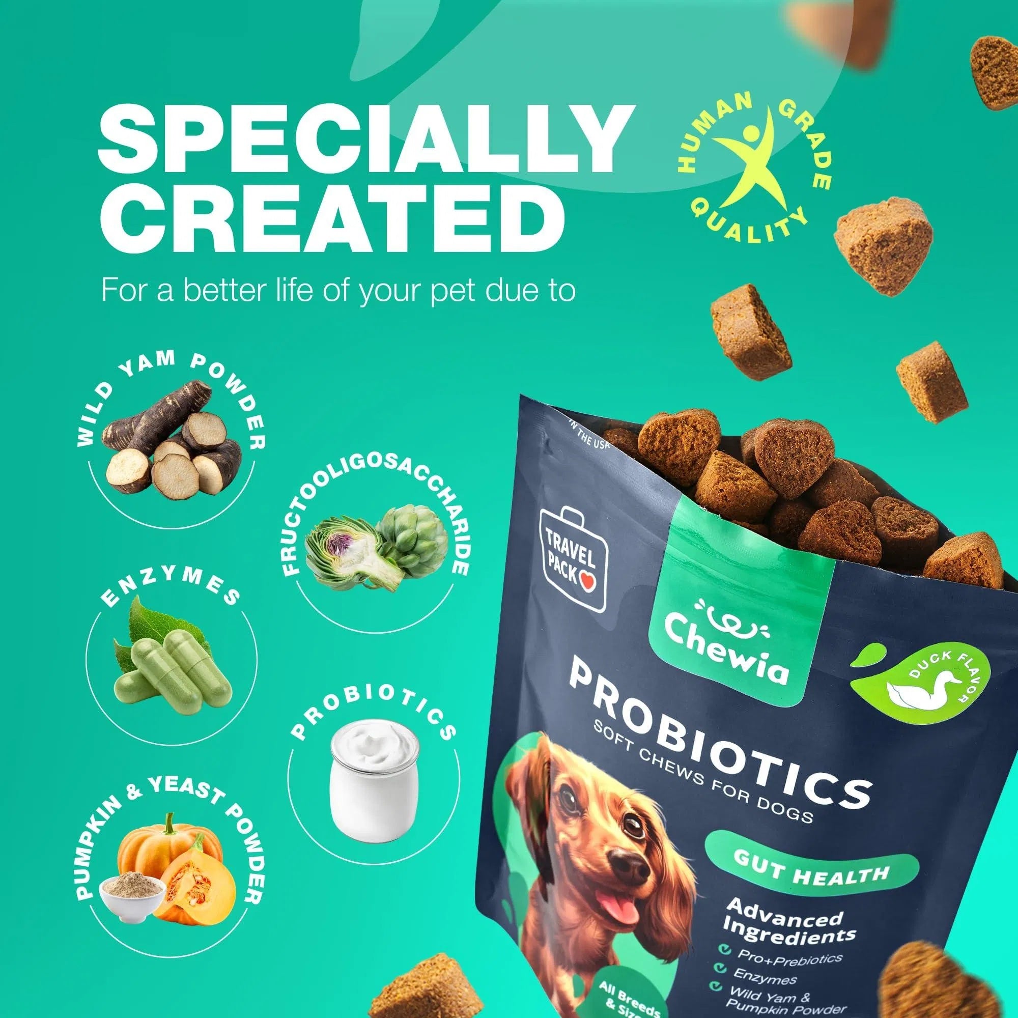 Probiotics For Dogs Support Gut Health Immunity
