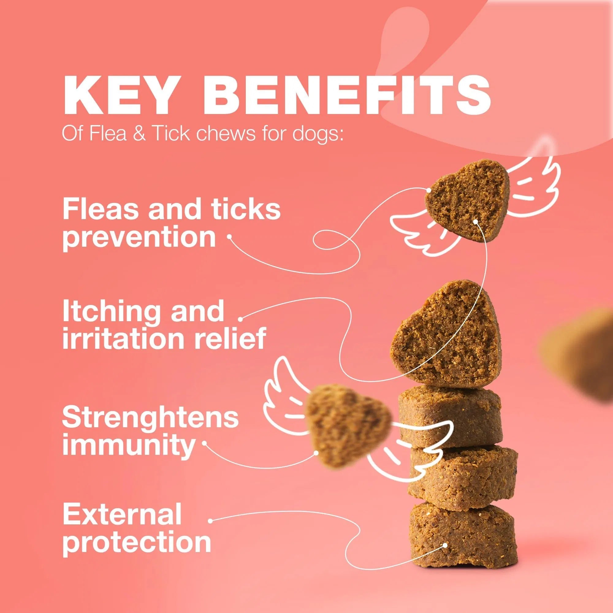 Flea & Tick Treatment Chews for Dogs