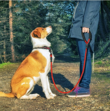 Reflective Dog Leash Nylon Pet Dog Leash Rope For Small Medium Large Dogs Walking Training