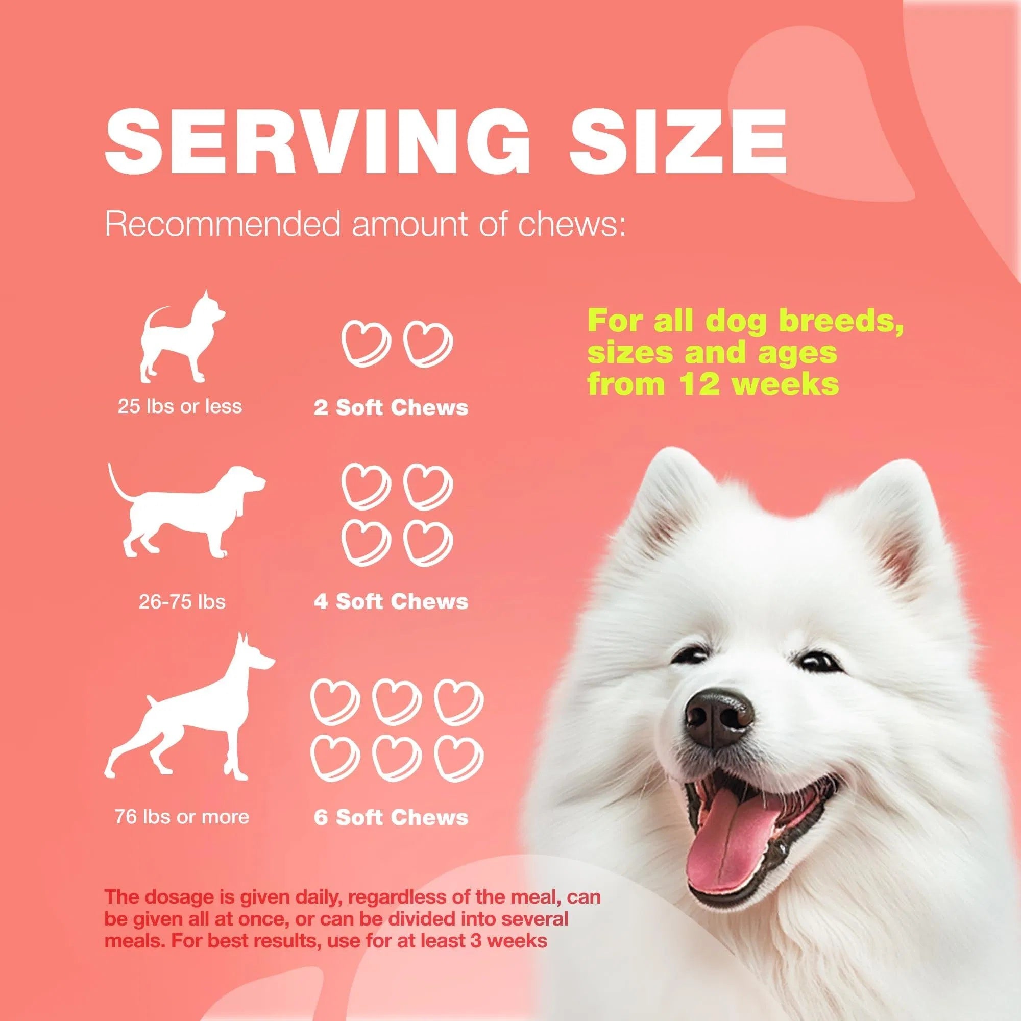 Flea & Tick Treatment Chews for Dogs