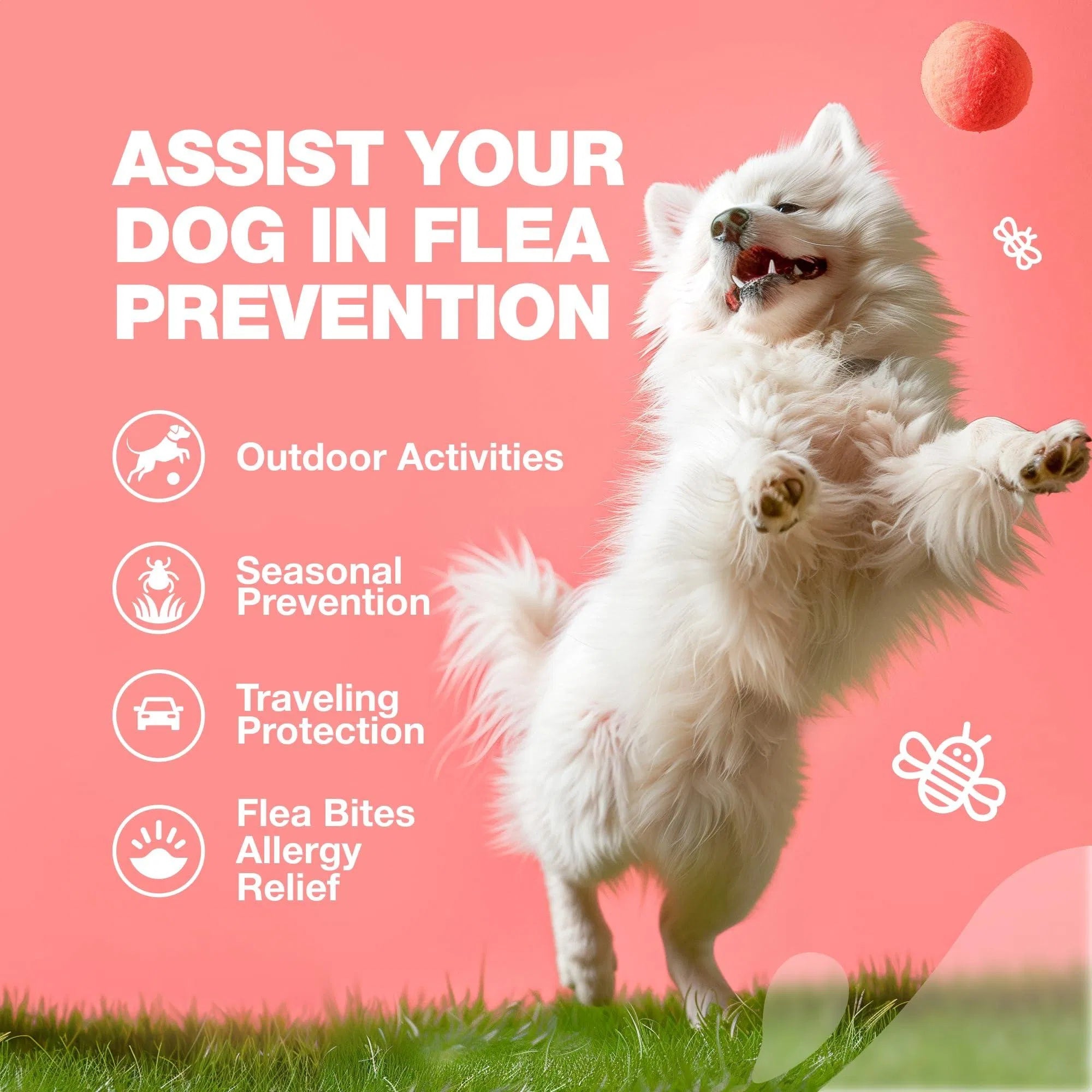 Flea & Tick Treatment Chews for Dogs