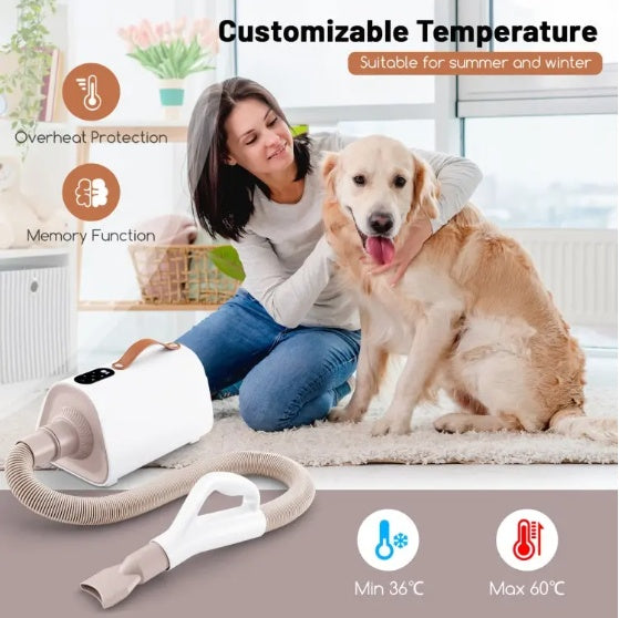 1 Pc Dog Cat Hair Blower With Negative Ion Function And Adjustable Temperature