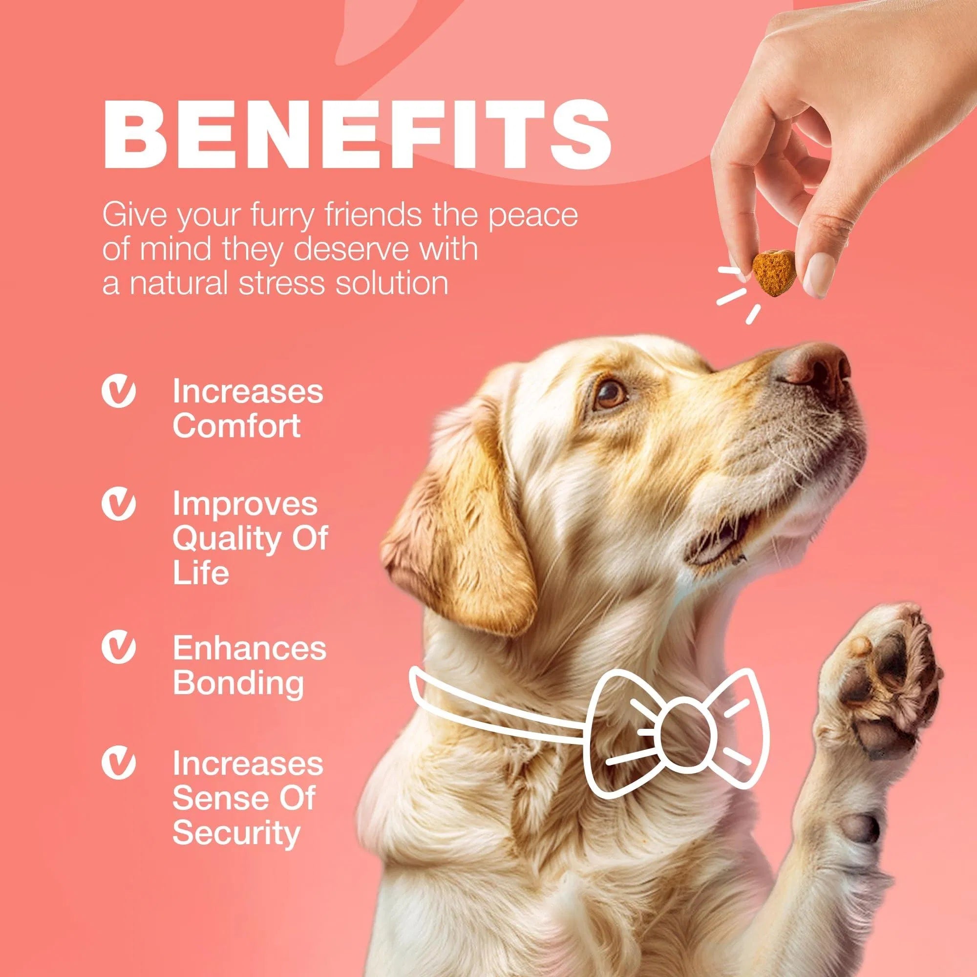 Flea & Tick Treatment Chews for Dogs