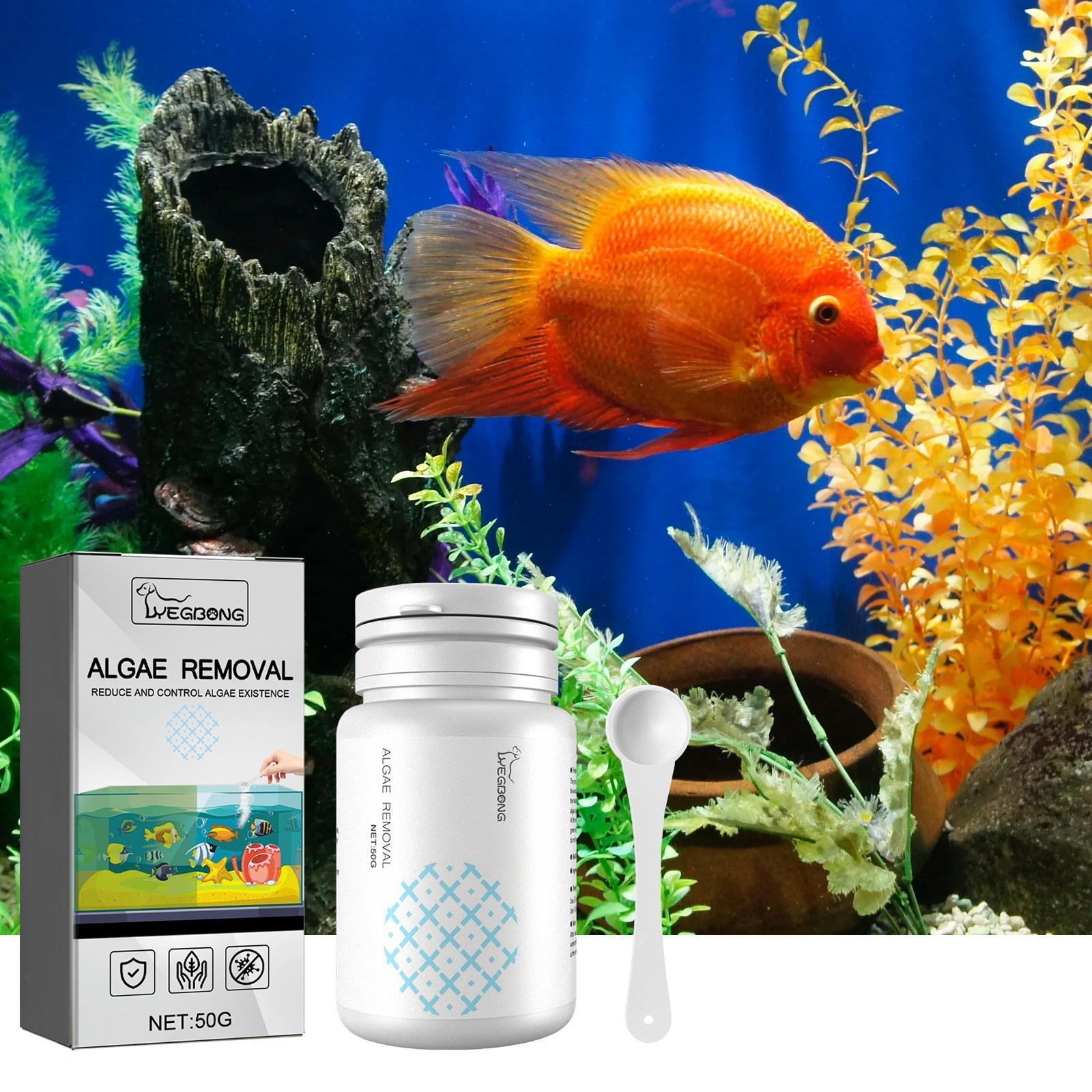 Igbondigal Lichen Fish Tank Cleaning Supplies Algaecide To Remove Moss And Green Water Algae