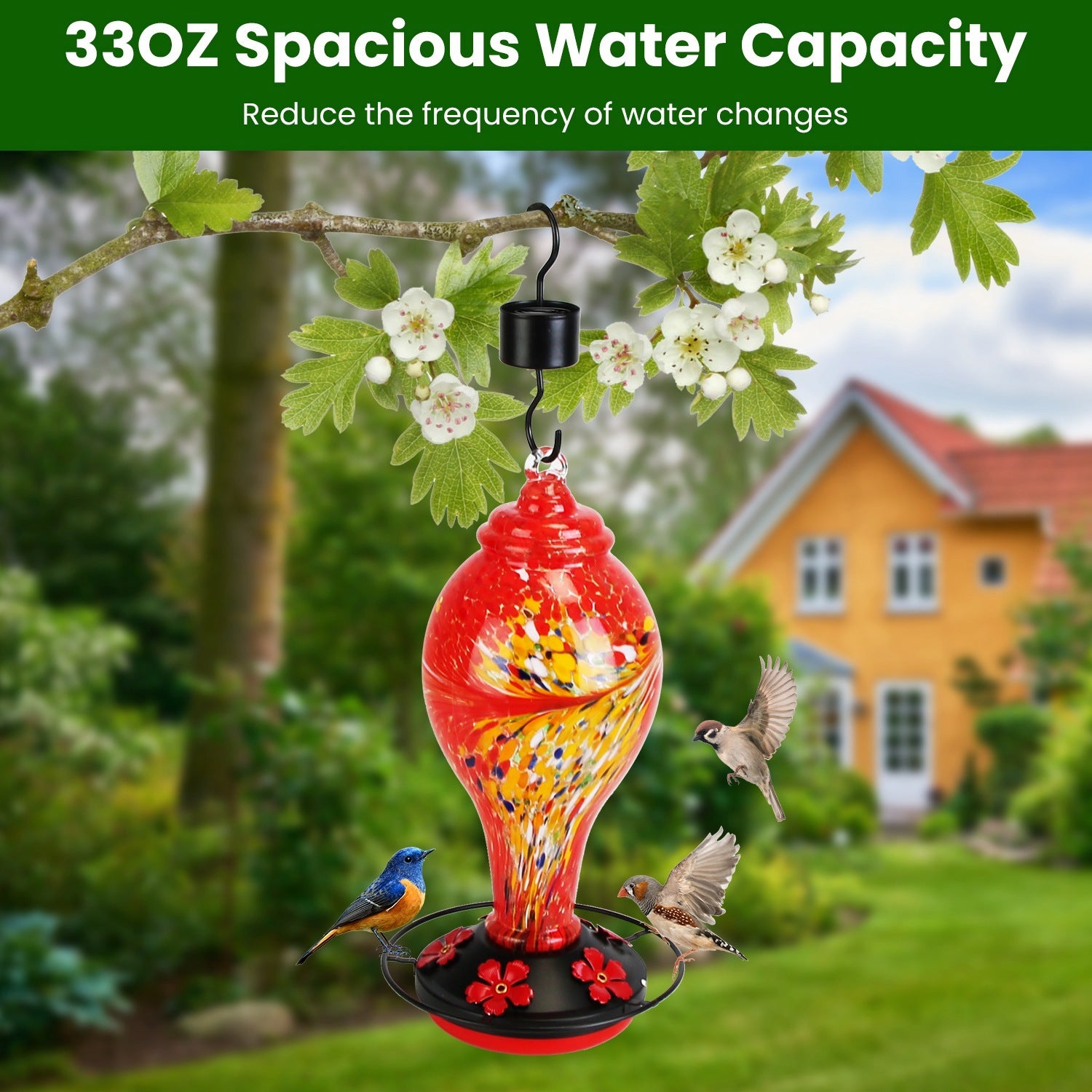 Hand-Blown Glass Hummingbird Feeder with Ant Moat & Perch