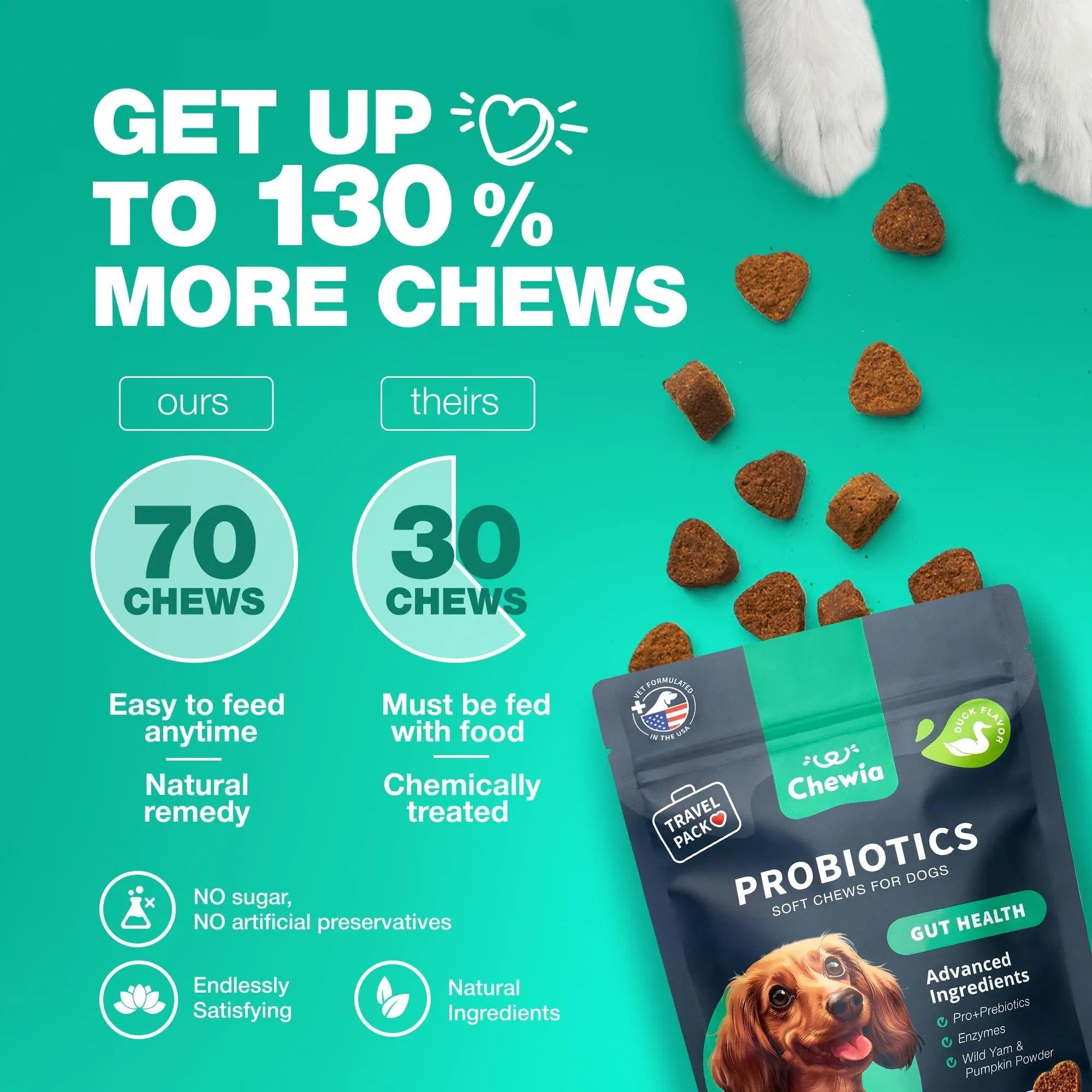 Probiotics For Dogs Support Gut Health Immunity