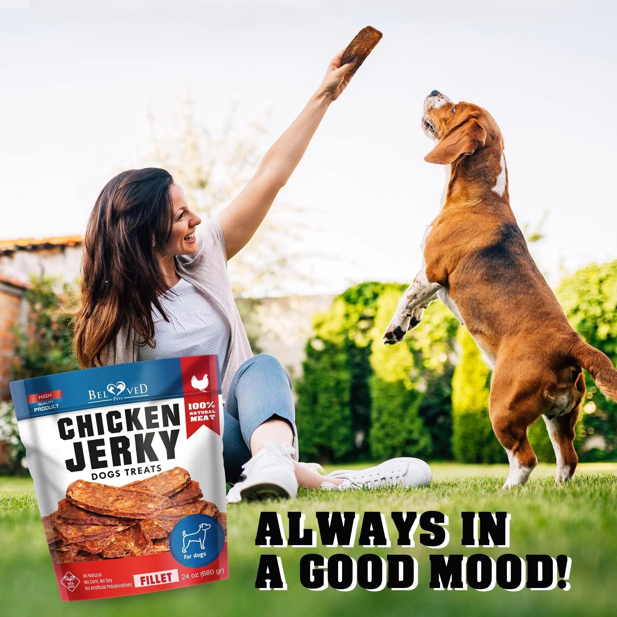 High-Protein Chicken Jerky Dog Treats
